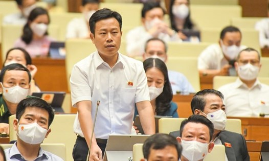Đại biểu Lê Quân (đoàn Cà Mau), Giám đốc Đại học Quốc gia Hà Nội thảo luận tại phiên họp. Ảnh: Quốc hội