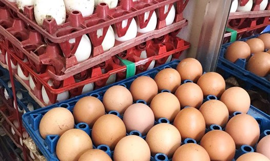 Giá trứng gà, vịt ở chợ Đà Nẵng tăng giá, siêu thị chỉ bán 2 vỉ/người. Ảnh: NM