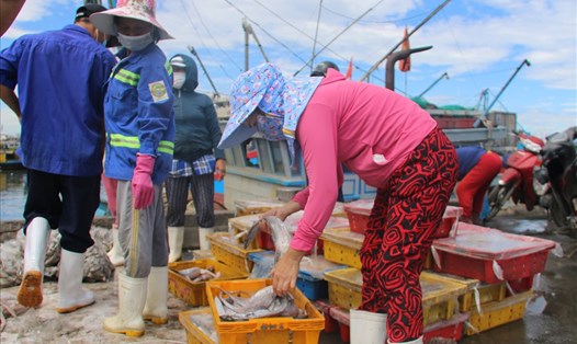 Ngư dân Đà Nẵng tranh thủ bán hải sản trước "giờ G". Ảnh: Thanh Chung