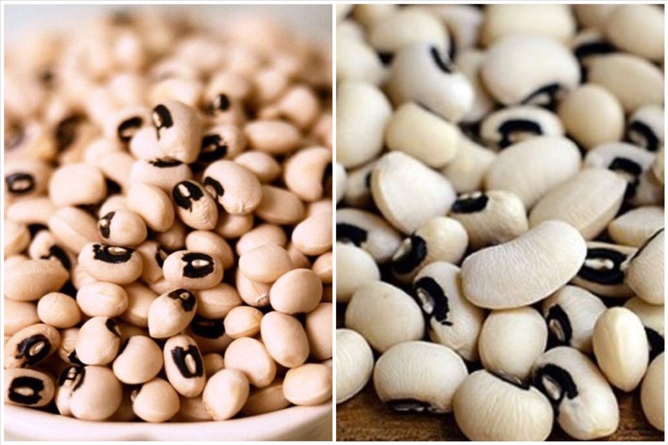 Đậu trắng mang lại nhiều lợi ích cho sức khỏe như giảm cân, tăng cường thị lực. Đồ họa: Thanh Ngọc