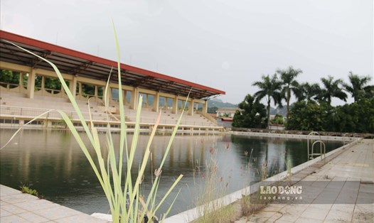 Bể bơi tỉnh Hòa Bình được đầu tư trang thiết bị hiện đại nhưng bỏ hoang nhiều năm nay không sử dụng.