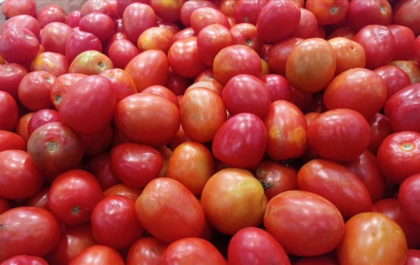 Cà chua là một trong những thực phẩm giúp da mịn màng. Ảnh: Thanh Ngọc