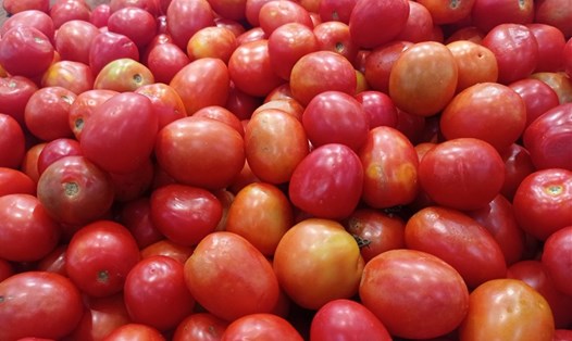 Cà chua là một trong những thực phẩm giúp da mịn màng. Ảnh: Thanh Ngọc