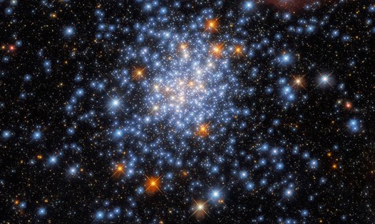 Cụm sao mở NGC 330 do kính thiên văn Hubble chụp. Ảnh: NASA