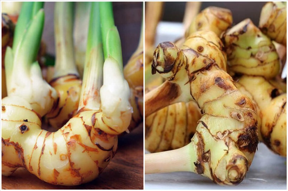 Củ riềng mang lại nhiều lợi ích cho sức khỏe. Đồ họa: Thanh Ngọc