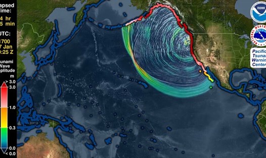Mô phỏng sóng thần do động đất mạnh nhất ở đớt đứt gãy Cascadia xảy ra vào tháng Giêng năm 1700. Ảnh: Trung tâm cảnh báo sóng thần Thái Bình Dương