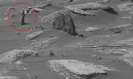 Tàu thám hiểm của NASA phát hiện vật thể giống như cây hoá đá trên sao Hỏa. Ảnh: NASA