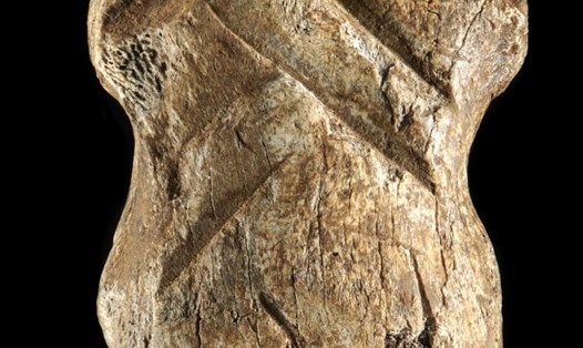 Mảnh xương được coi là một trong những tác phẩm nghệ lâu đời nhất thế giới. Ảnh: Văn phòng Di sản Văn hóa Lower Saxony