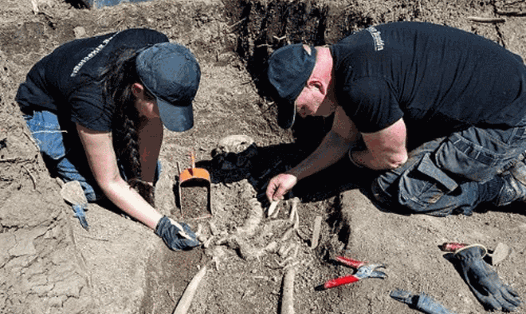 Khai quật 7 ngôi mộ 1.000 năm tuổi của người Viking ở Thụy Điển. Ảnh: Công ty khảo cổ Uppdrag Arkeologi