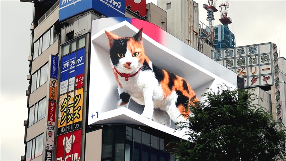 Mèo 3D khổng lồ ở Tokyo sẽ làm bạn phải \