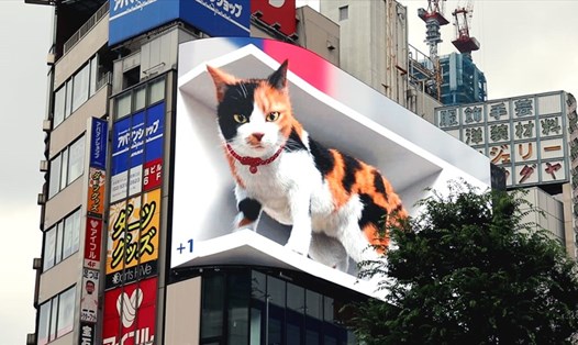 Mèo 3D khổng lồ ở Tokyo, Nhật Bản. Ảnh chụp màn hình