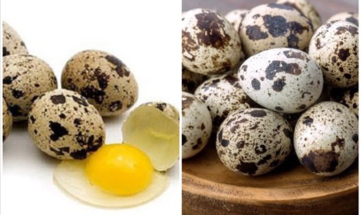 Trứng cút rất giàu dinh dưỡng mang lại nhiều lợi ích cho sức khỏe. Đồ hoạ: Thanh Ngọc.