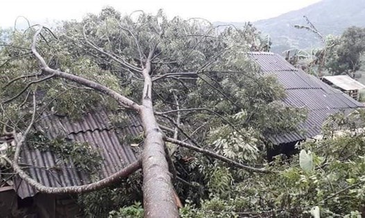 Mưa to kèm dông lốc khiến hơn 400 ngôi nhà tại địa bàn huyện Văn Chấn, thị xã Nghĩa Lộ bị ảnh hưởng nghiêm trọng. Ảnh: CTV.
