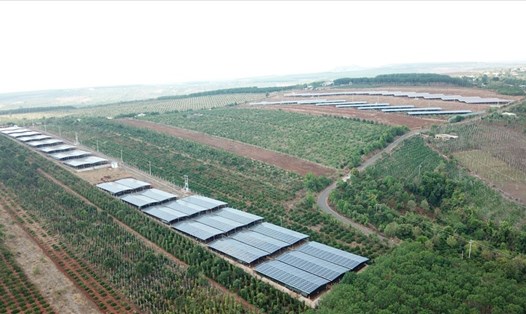 Một dự án điện mặt trời quy mô lớn ở tỉnh Gia Lai. Ảnh T.Tuấn
