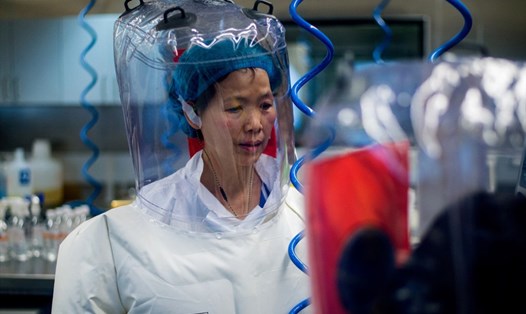 Bà Thạch Chính Lệ, phó giám đốc Viện Virus học Vũ Hán, cảnh báo nguy cơ xuất hiện biến thể COVID-19 mới. Ảnh: AFP