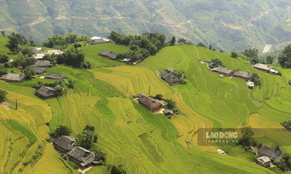 Tổ chức trực tuyến chương trình “Qua những miền di sản ruộng bậc thang” Hoàng Su Phì lần thứ VI. Ảnh: LĐ