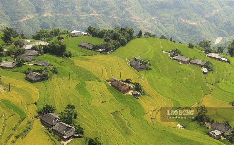 Tổ chức trực tuyến chương trình “Qua những miền di sản ruộng bậc thang” Hoàng Su Phì lần thứ VI. Ảnh: LĐ