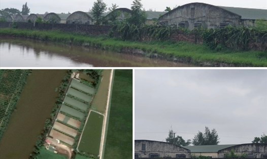 Trang trại nuôi lợn của Công ty TNHH Hưng Phú Cường tại thôn Hoàng Môn (xã Nam Cường, huyện Tiền Hải, tỉnh Thái Bình) bị người dân tố xả thải gây ô nhiễm môi trường trong vòng nhiều năm qua. Ảnh: T.D