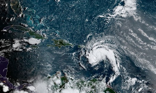 Bão Fed là cơn bão số 6 được đặt tên trong mùa bão Đại Tây Dương 2021. Ảnh: NHC
