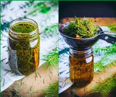 Dầu dưỡng lá kim rất hữu ích cho làn da, lông mày, lông mi...