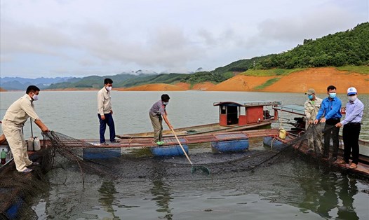 Toàn cảnh hoạt động thả cá giống xuống vùng lòng hồ sông Đà ở Hòa Bình. Ảnh: Thanh Hải.