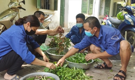 Để giảm bớt chi tiêu, anh chị em công nhân hái rau, củ trong vườn tại trạm lưu trú. Ảnh: Lâm Thảo