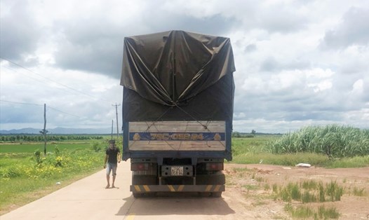 Tài xế xe tải chở thức ăn cho trại bò vi phạm khi chở người về từ vùng dịch bệnh. Ảnh CA