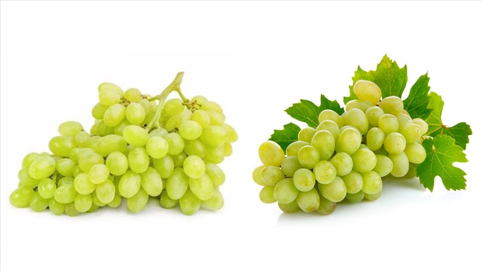 Quả nho rất giàu vitamin và khoáng chất, giúp chống lại lão hóa, duy trì độ đàn hồi cho da. Đồ họa: Thanh Ngọc