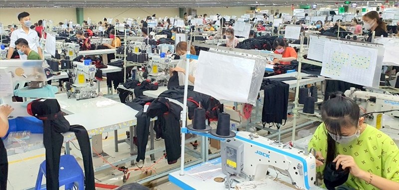 Công ty may nhiều công nhân nhất tỉnh Bạc Liêu đóng cửa từ ngày 16.8