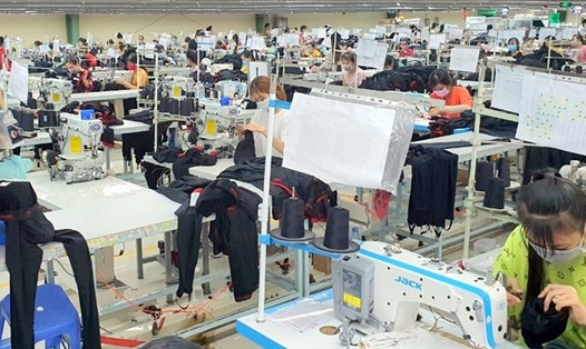 Công ty may mặc lớn nhất tỉnh Bạc LIêu đóng cửa từ ngày 16.8. Ảnh: Nhật Hồ