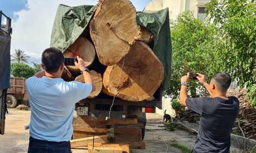 Chiếc xe tải chở gỗ Dổi "khủng" ở huyện Kbang bị phát hiện, tạm giữ. Ảnh T.T