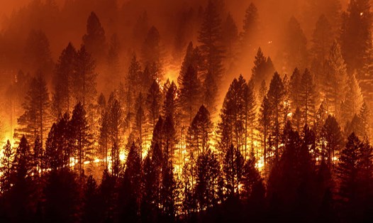 Cháy rừng ở miền bắc California, Mỹ khiến hàng chục nghìn người có nguy cơ rơi vào cảnh mất điện. Ảnh: AFP