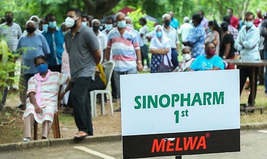 Chờ tiêm vaccine Sinopharm ở Colombo, Sri Lanka, ngày 7.8.2021. Ảnh: Xinhua