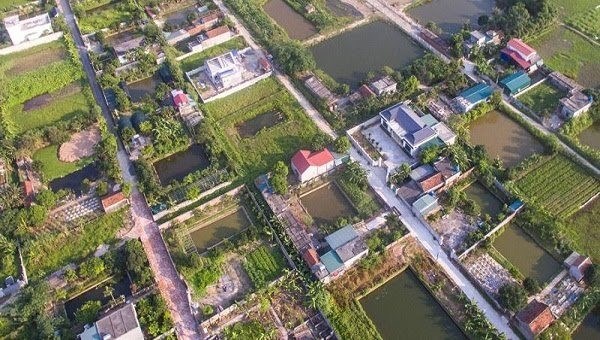 Thái Bình yêu cầu xử lý vụ xây dựng trái phép trên 11,8ha đất nông nghiệp