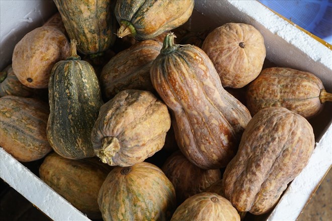 6 công dụng làm đẹp khó tin của quả bí đỏ