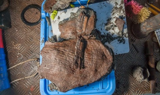Mảnh giỏ đựng hoa quả từ thành phố Ai Cập huyền thoại chìm dưới đáy biển được các nhà khảo cổ trục vớt. Ảnh: Franck Goddio