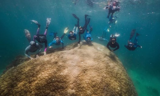 Các nhà nghiên cứu từ tổ chức phi chính phủ Reef Ecologic cùng với quần thể san hô khổng lồ Muga dhambi. Ảnh: Reef Ecologic