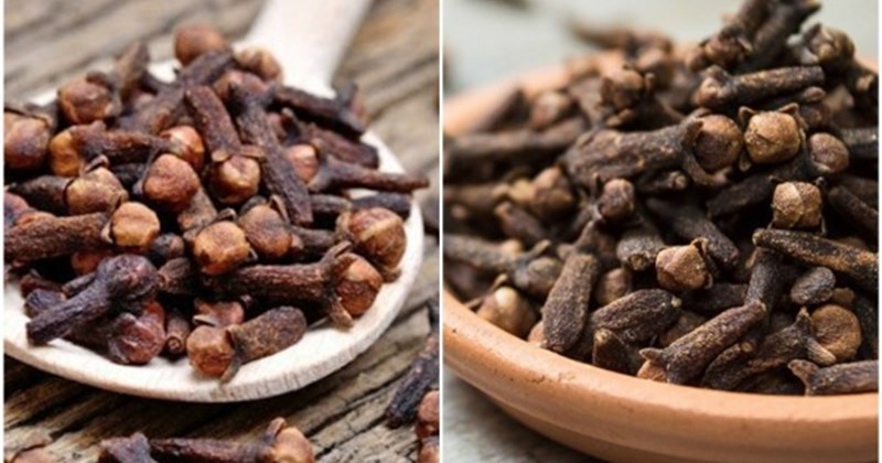 5 lợi ích của đinh hương đối với sức khỏe