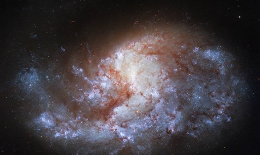Thiên hà xoắn ốc NGC 1385 trong chòm sao Thiên Lô. Ảnh: NASA/ESA
