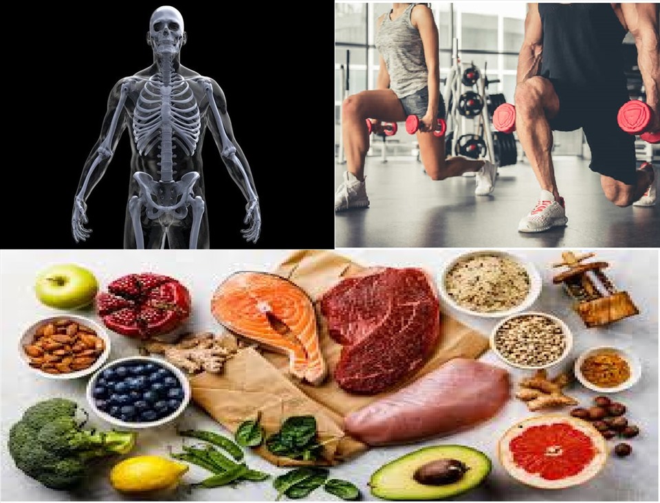 Các loại hải sản như cá hồi, cá ngừ và cá thu giàu protein, axit béo omega-3 và vitamin D tốt cho xương. Ảnh minh hoạ: Nhật Quang.