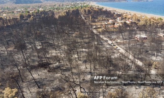 Cảnh tượng tàn khốc sau một trận cháy rừng ở đảo Evia, Hy Lạp. Ảnh: AFP