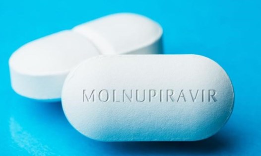 Hơn 300.000 viên thuốc Molnupiravir điều trị F0 có kiểm soát tại nhà và cộng đồng về TP.HCM. Ảnh minh hoạ