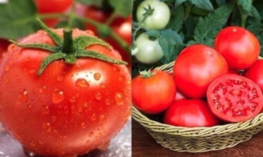 Cà chua cung cấp nhiều lợi ích sức khỏe, chúng cũng có tác dụng làm chậm quá trình lão hoá. Đồ hoạ: Minh Anh