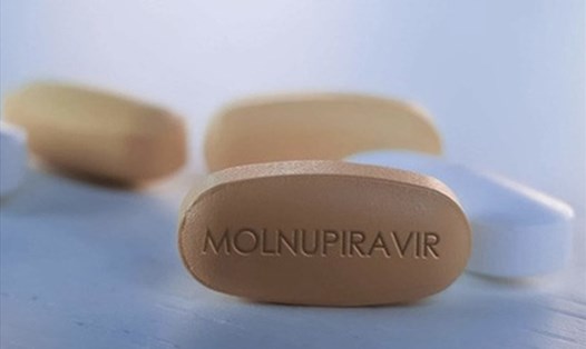 Thuốc Molnupiravir đang được thử nghiệm tại Việt Nam với triển vọng điều trị F0 tại nhà. Ảnh minh hoạ.
