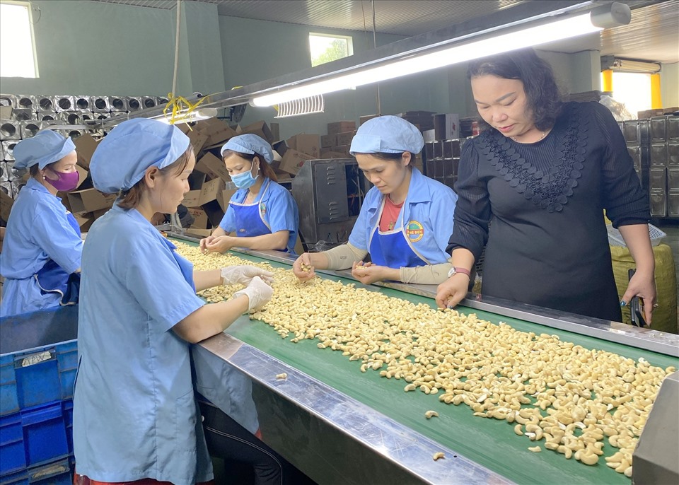 Do dịch bệnh COVID-19 nên Doanh nghiệp chế biến, xuất khẩu hạt điều Hồng Đức đang gặp nhiều khó khăn (ảnh chụp trước ngày 27.4.2021). Ảnh: Phan Tuấn