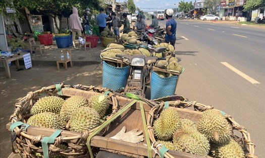 Người dân ở huyện Krông Pắk buôn bán sầu riêng trên Quốc lộ 26. Ảnh: Phan Tuấn