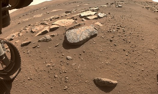 Bề mặt sao Hỏa ở khu vực nhiều đá mà tàu Perseverance đang thăm dò. Ảnh: NASA