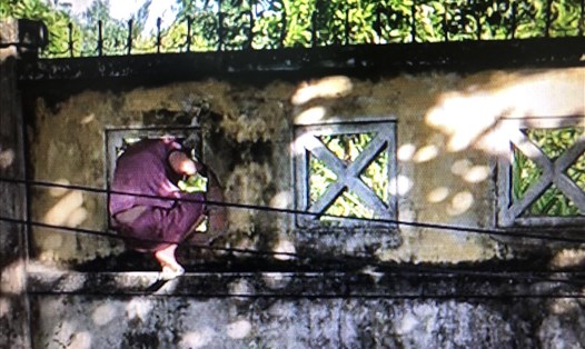 Hình ảnh bà Đ.T.K chui rào bệnh viện dã chiến thị xã Đông Hoà để hái lá xông được ghi lại. Ảnh: CQCN