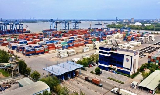 Tân Cảng Sài Gòn khẳng định, Tân Cảng Hiệp Phước dừng đóng rút không ảnh hưởng nhiều đến xuất khẩu gạo. Ảnh minh họa: TCHP