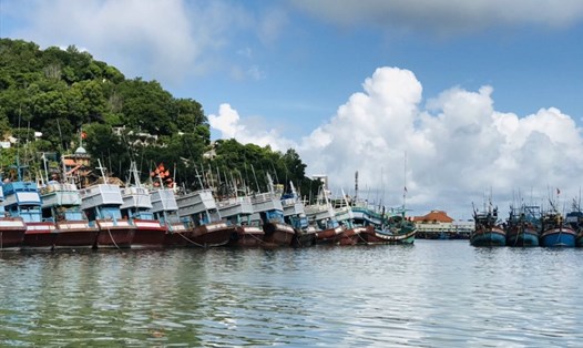 Hàng loạt tàu cá neo đậu ven bờ ở Vũng Tàu trong thời gian gần đây. Ảnh: M.T